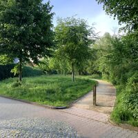 Bild vergr&ouml;&szlig;ern: Parkanlage am Niedersachsenring