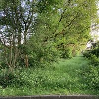Bild vergr&ouml;&szlig;ern: Alte Wallhecken- und Baumbest&auml;nde am Knollweg