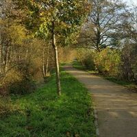 Bild vergr&ouml;&szlig;ern: Gr&uuml;nzug mit Wanderweg, Blickrichtung von der Heidestra&szlig;e in Richtung Dwarsweg