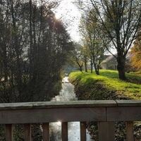 Bild vergr&ouml;&szlig;ern: Blick von der Holzbr&uuml;cke in Richtung Moorweg