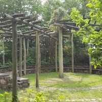 Bild vergr&ouml;&szlig;ern: Natursteinpflaster im Rondell