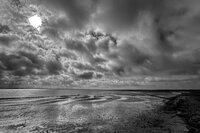 Bild vergr&ouml;&szlig;ern: Langeoog