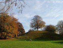 Plytenberg