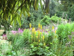 Bild vergr��ern: Der Pagels Garten 