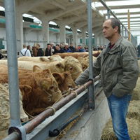 Bild vergr&ouml;&szlig;ern: Viehmarkt 2015